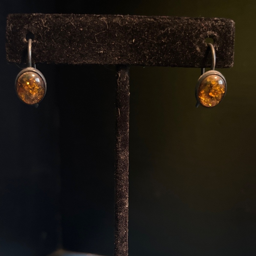 Warm and Natural Amber Earrings 🎁